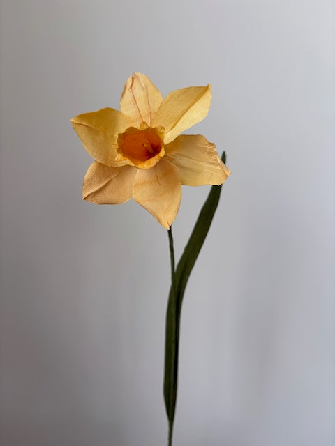 Paper Daffodil 002