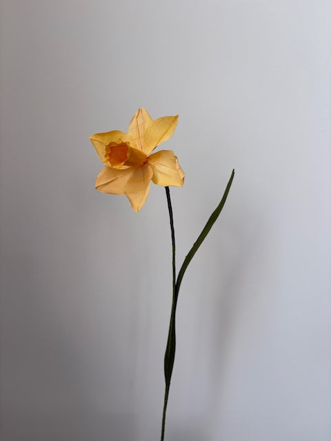 Paper Daffodil 002