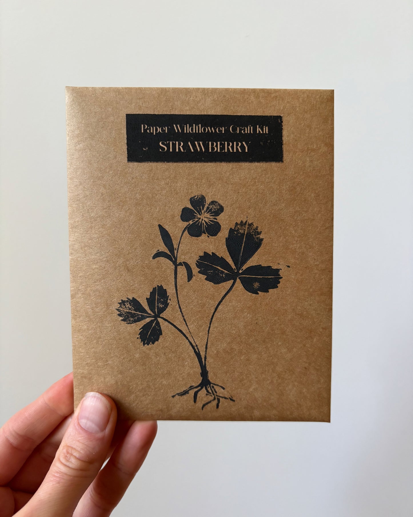 Wild Strawberry Craft Kit