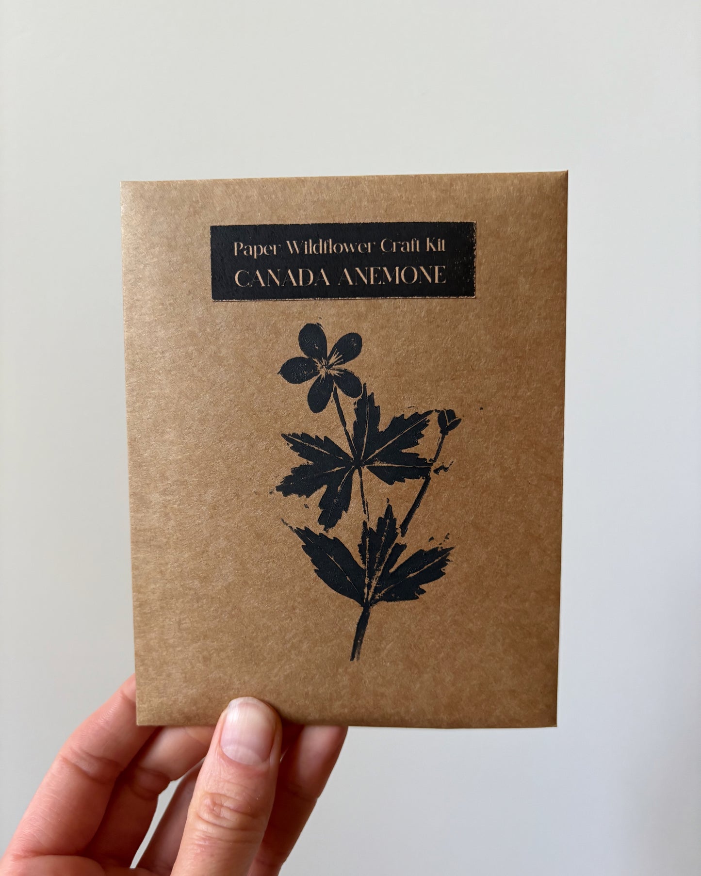 Canada Anemone Craft Kit
