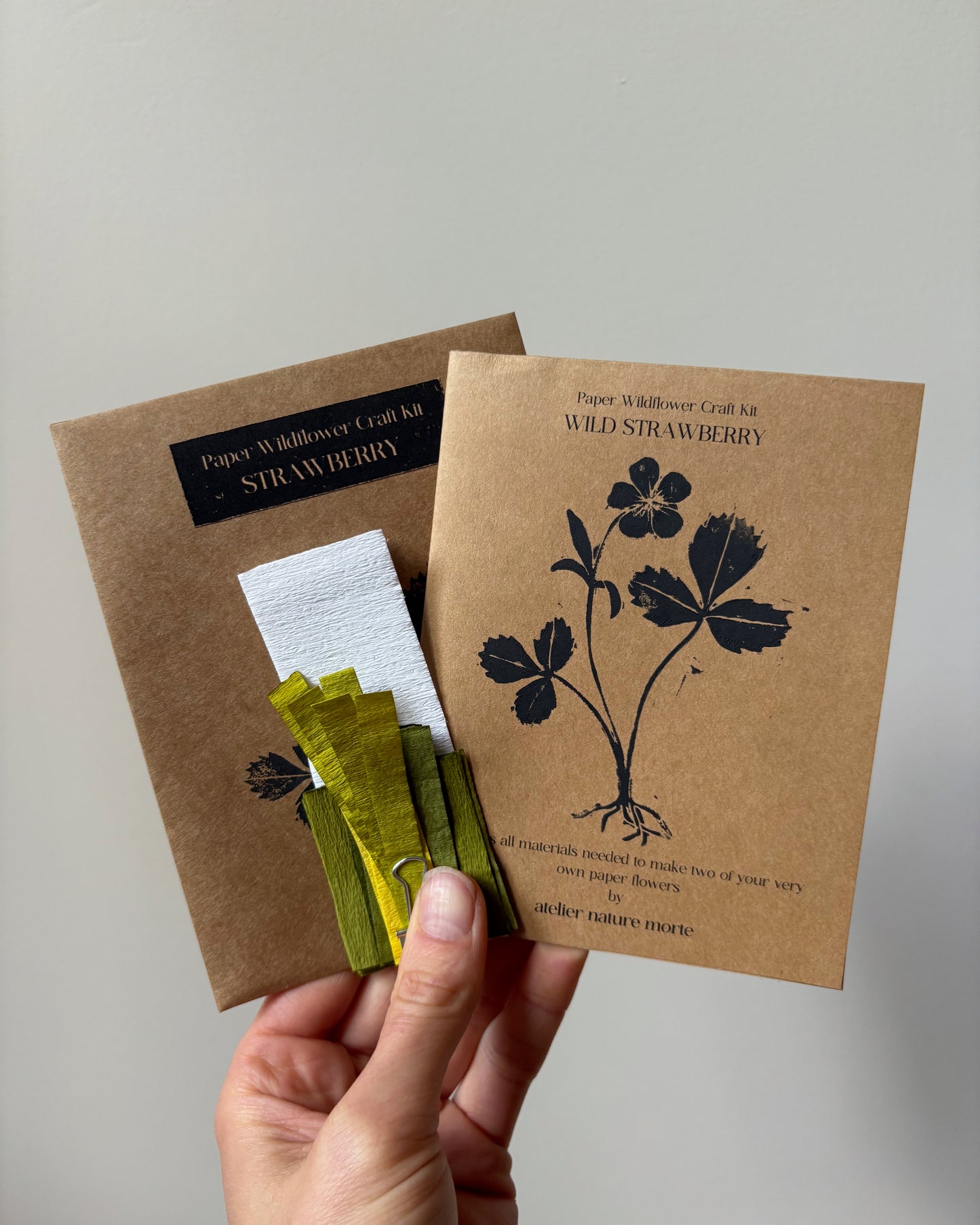 Wild Strawberry Craft Kit