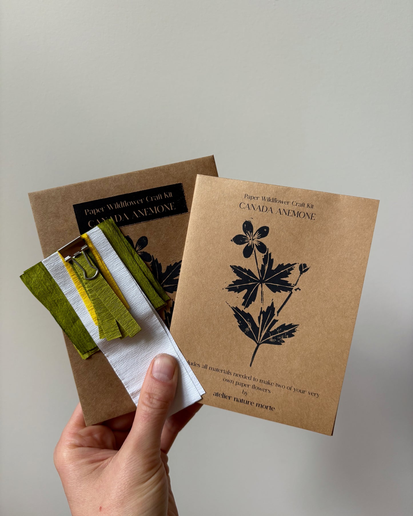 Canada Anemone Craft Kit