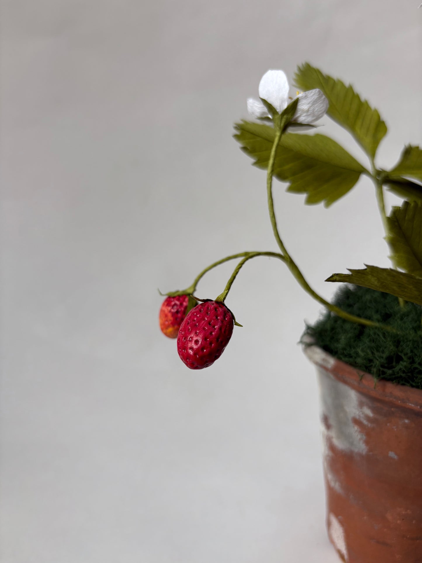 Paper Strawberry