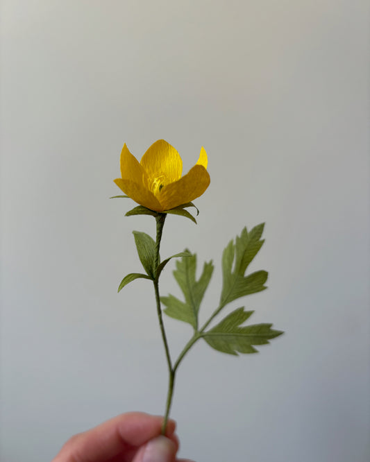 Buttercup Craft Kit