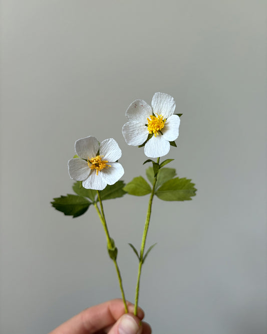 Wild Strawberry Craft Kit