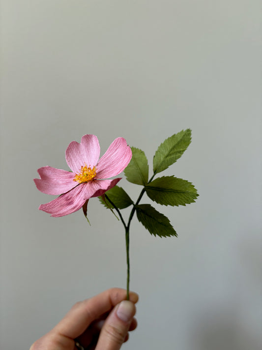 Wild Rose Craft Kit