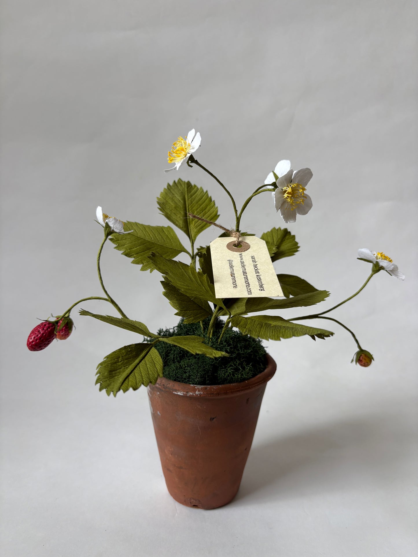 Paper Strawberry