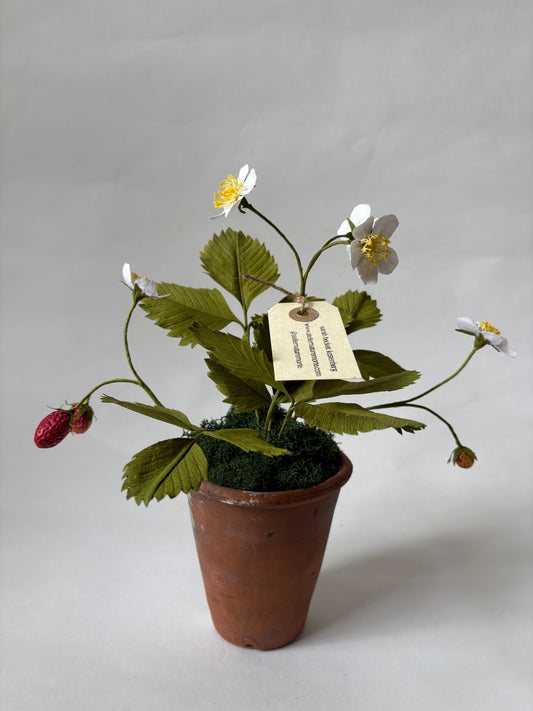 Paper Strawberry