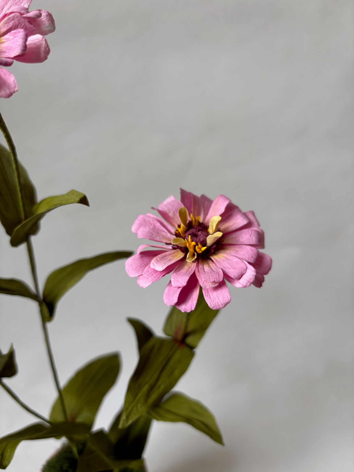 Paper Zinnia