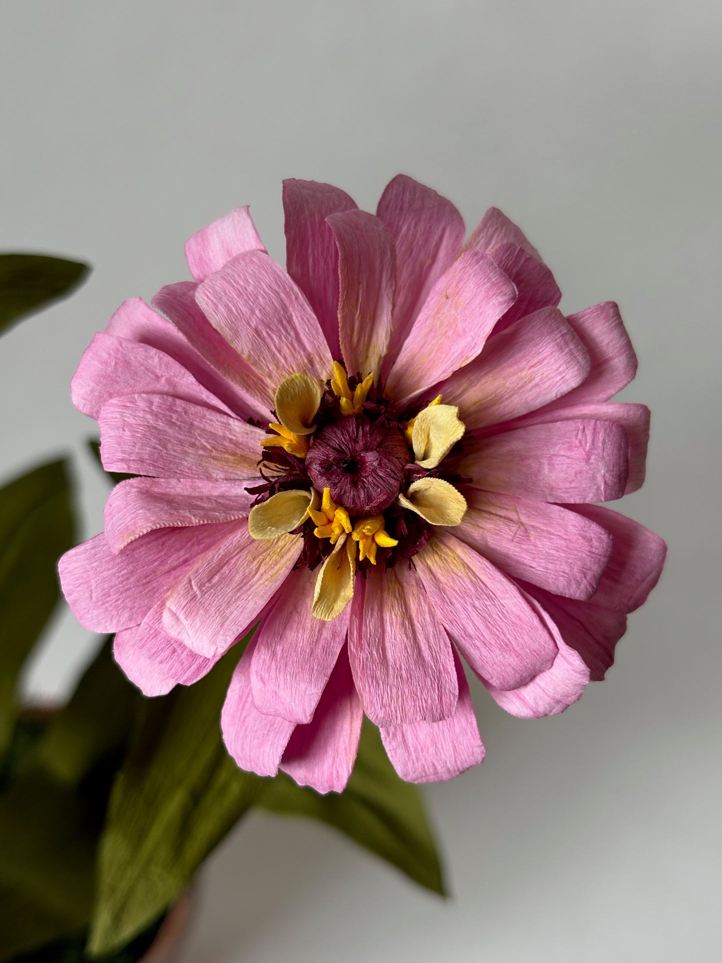 Paper Zinnia