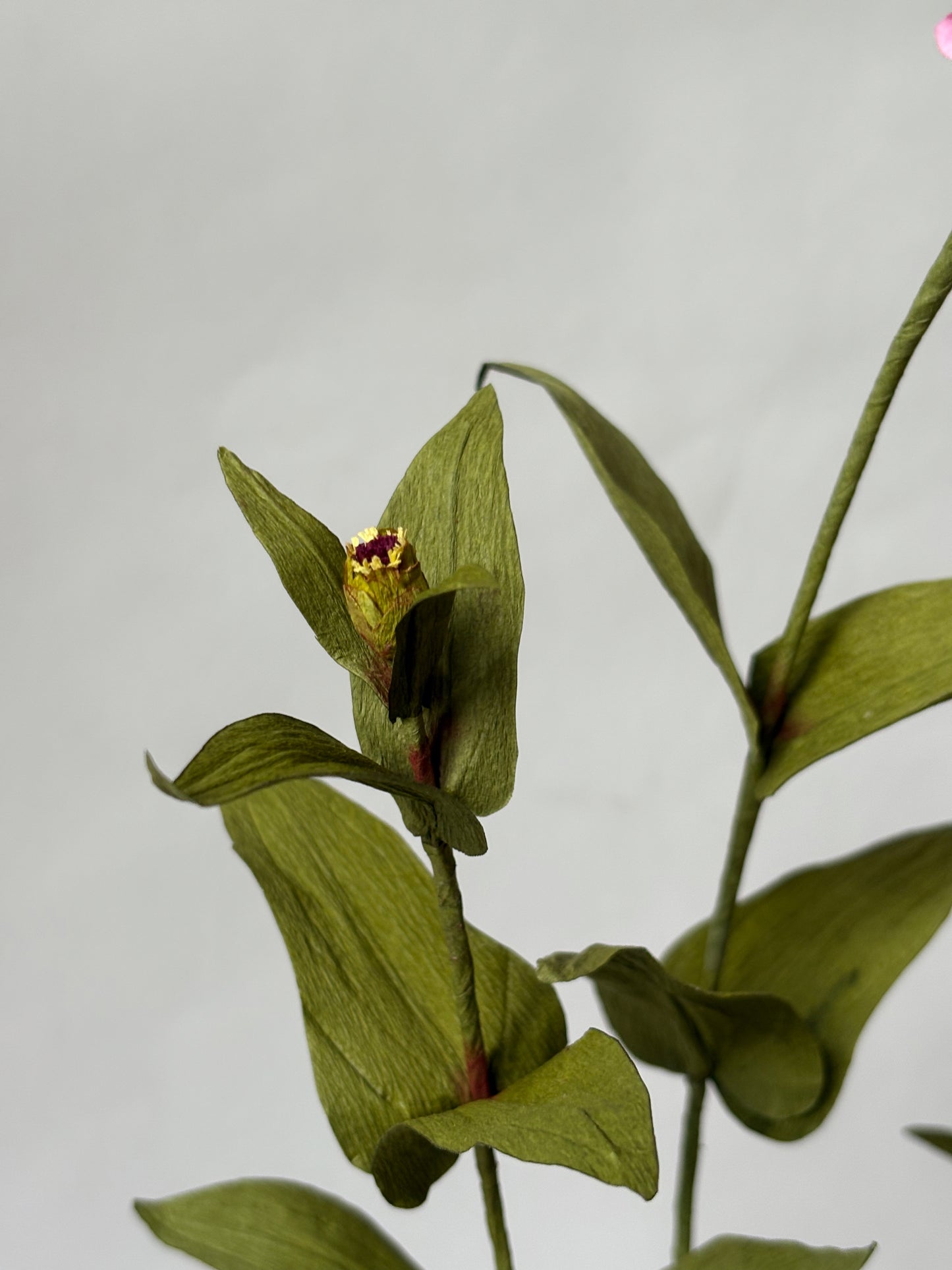 Paper Zinnia