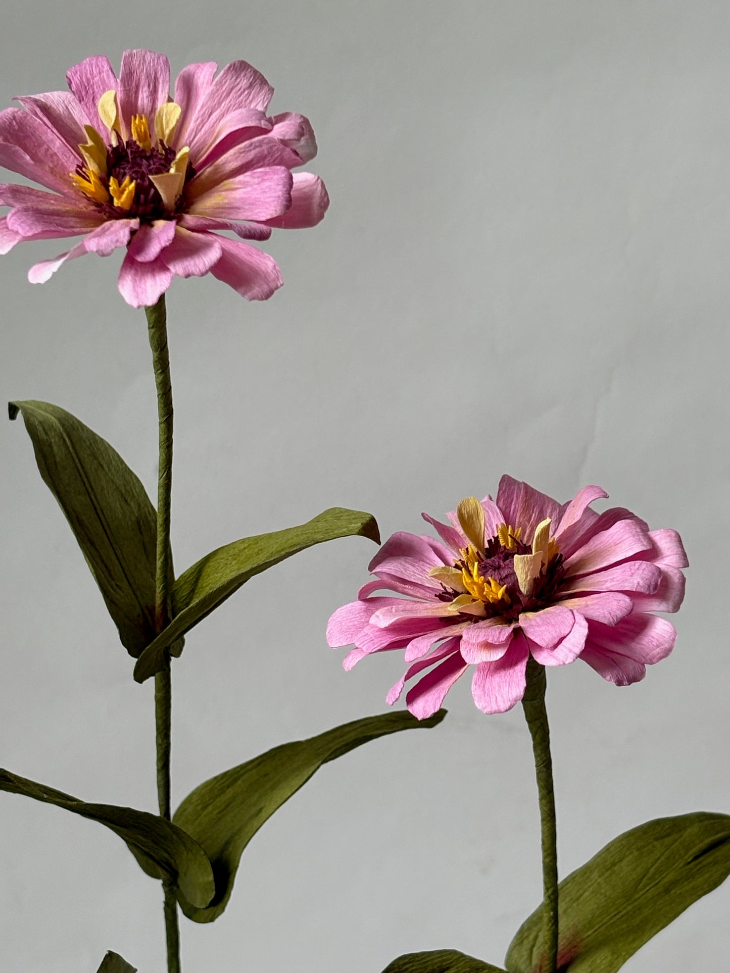 Paper Zinnia