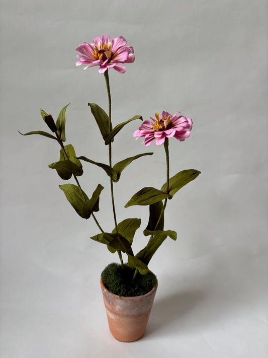Paper Zinnia