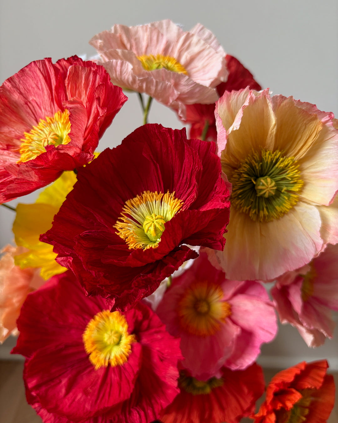 Icelandic Poppy Workshop August 20th, 2026