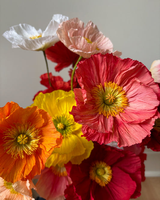 Icelandic Poppy Workshop August 20th, 2026